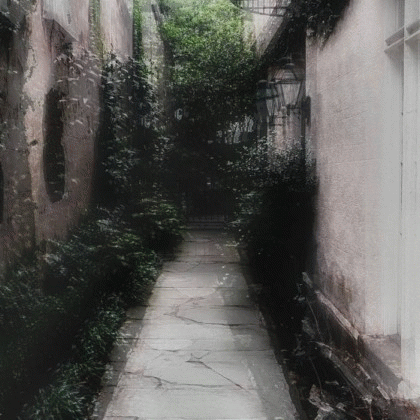 My Purest Heart For You : Both Paralyzed My Purest Heart For You : Both Paralyzed